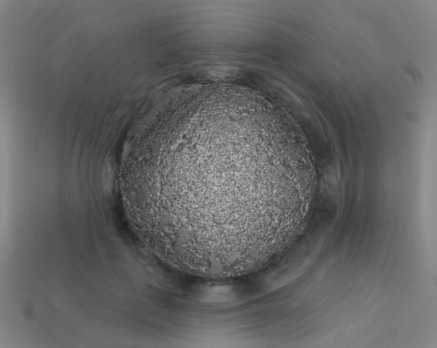 X0000114120651200910191724