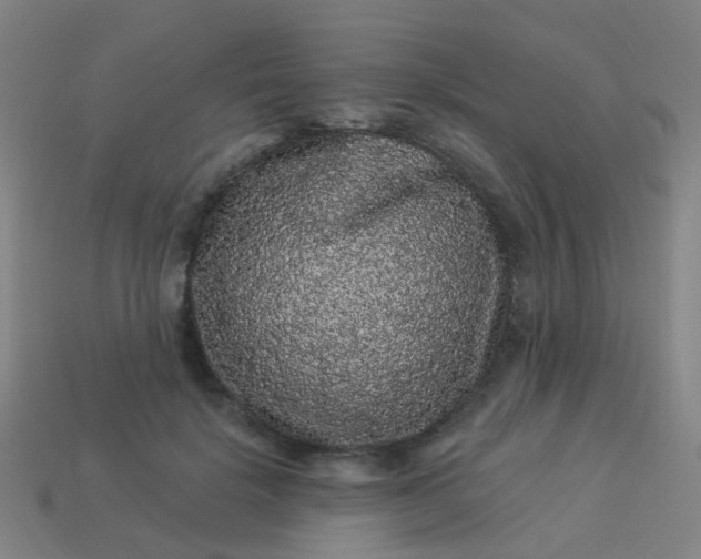 X0000114120652200910191724