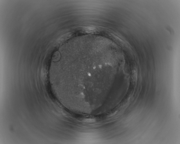 X0000114120653200910191724