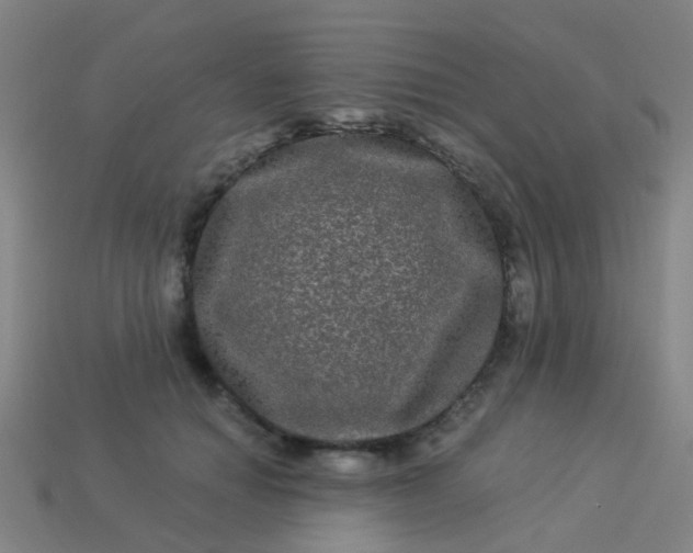 X0000114120654200910191724