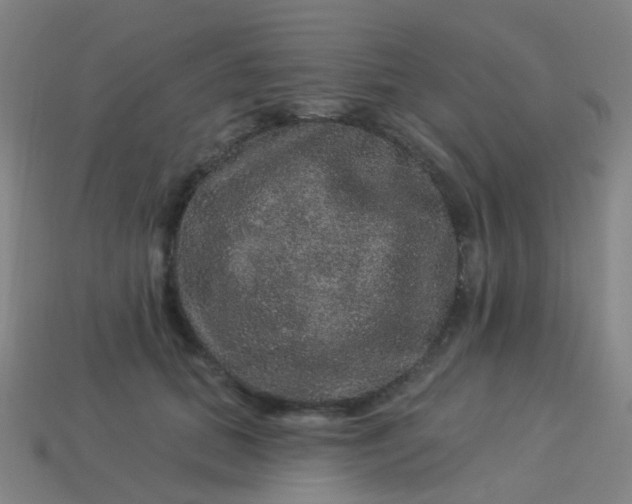 X0000114120655200910191724