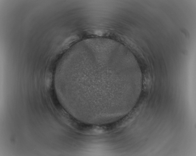 X0000114120656200910191724