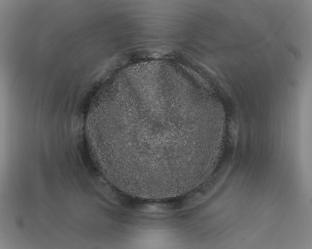 X0000114120657200910191724