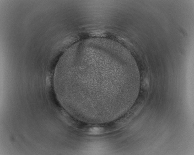 X0000114120658200910191724