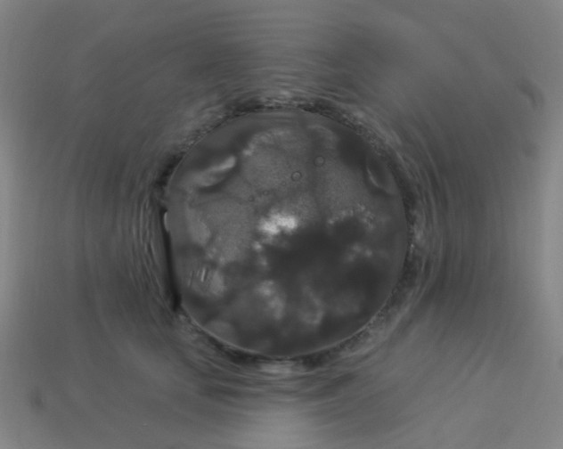 X0000114120659200910191724