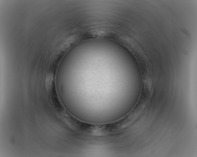 X0000114120660200910191724