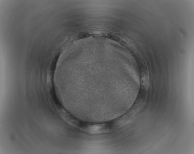 X0000114120662200910191724