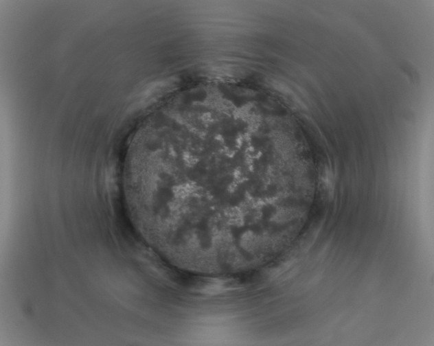 X0000114120663200910191724