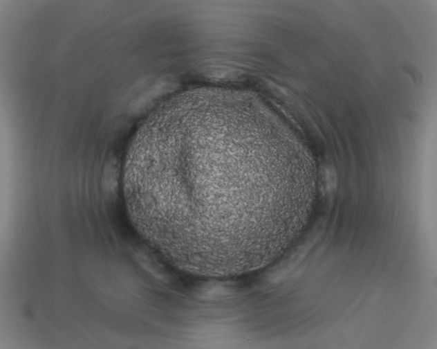 X0000114120664200910191724