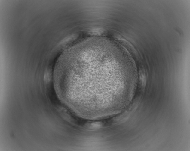 X0000114120665200910191724