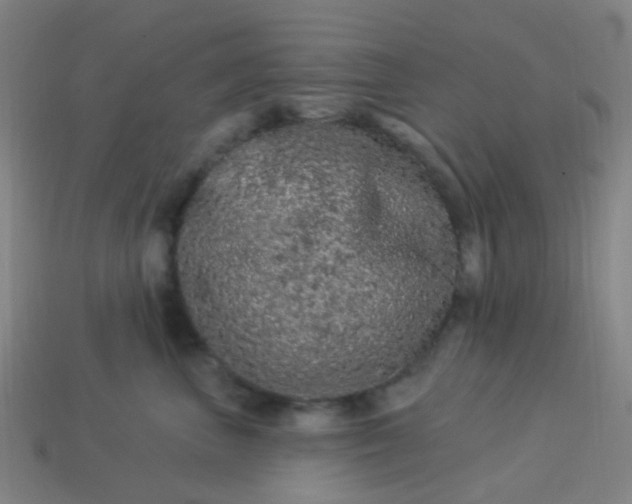 X0000114120667200910191724