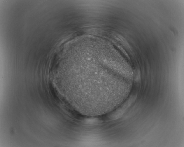 X0000114120669200910191724