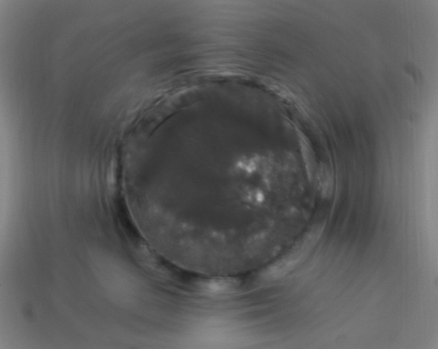 X0000114120670200910191724