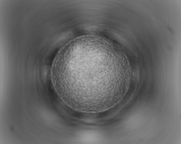 X0000114120671200910191724