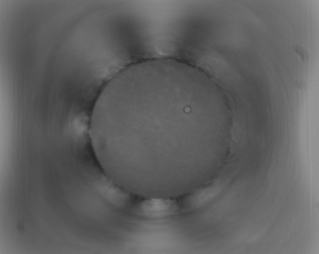 X0000114120672200910191724