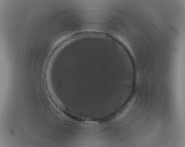 X0000114120673200910191724