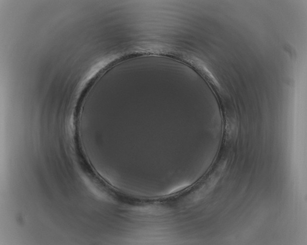 X0000114120674200910191724