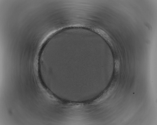 X0000114120676200910191724