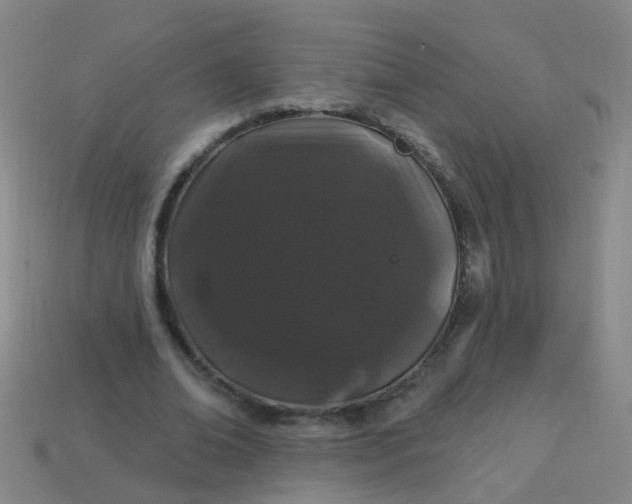 X0000114120678200910191723