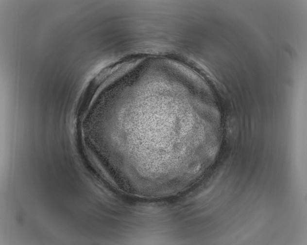 X0000114120679200910191723