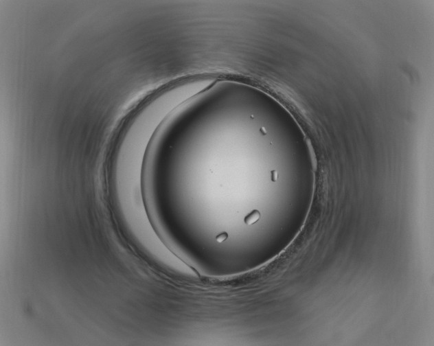 X0000114120680200910191723