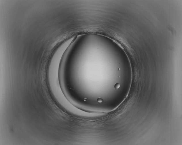 X0000114120681200910191723