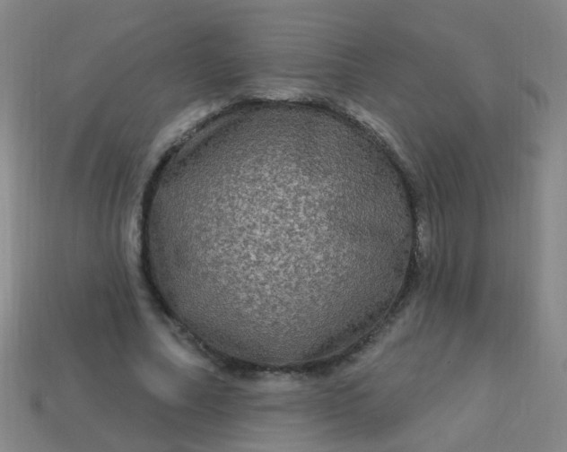 X0000114120682200910191723