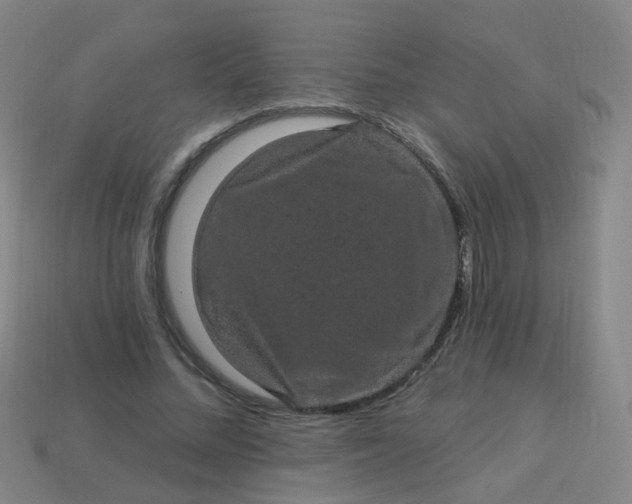 X0000114120684200910191723