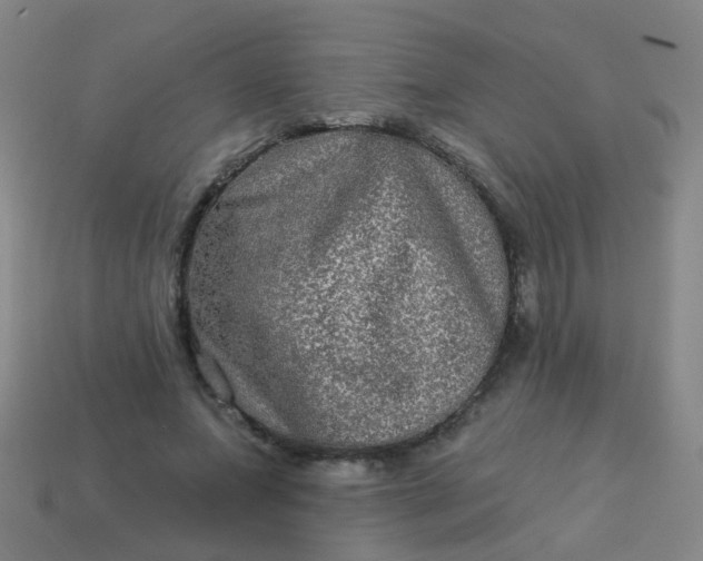 X0000114120687200910191723