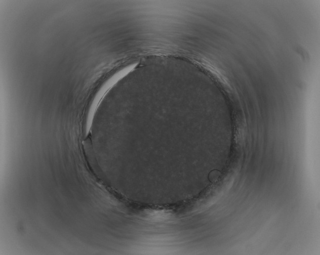 X0000114120689200910191723