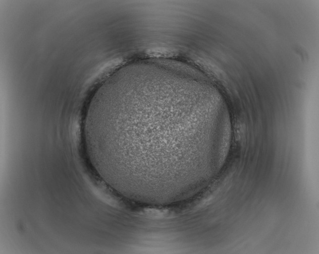 X0000114120690200910191723