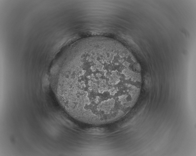 X0000114120691200910191723