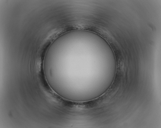 X0000114120694200910191723