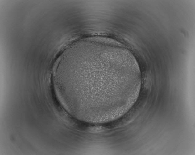 X0000114120695200910191723