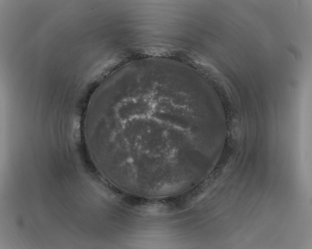 X0000114120696200910191723