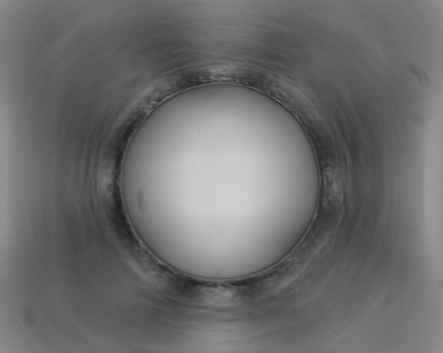 X0000114120698200910191723