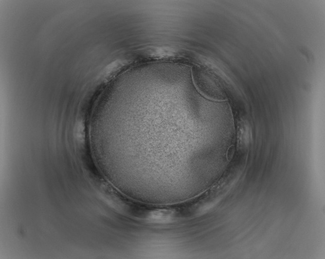 X0000114120700200910191723