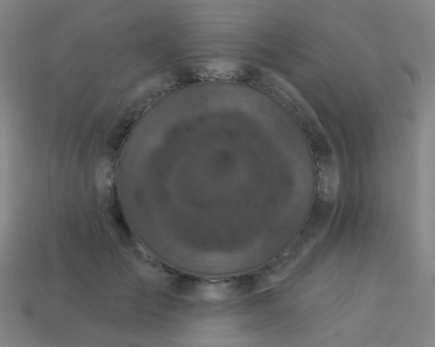 X0000114120701200910191723