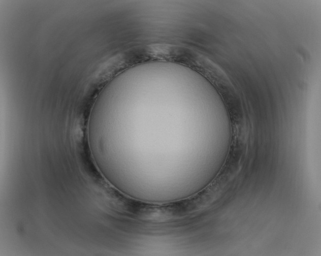 X0000114120702200910191723