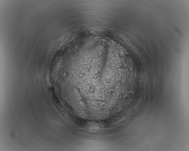 X0000114120703200910191723