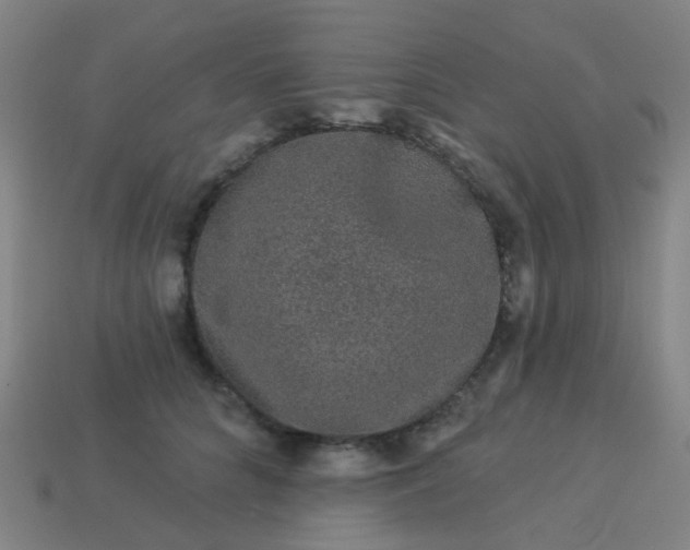 X0000114120704200910191723