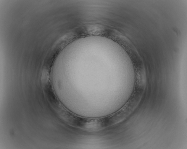 X0000114120705200910191723