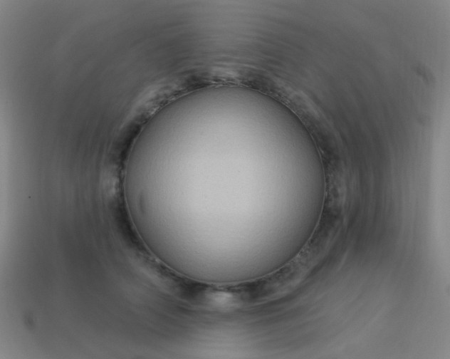 X0000114120706200910191723