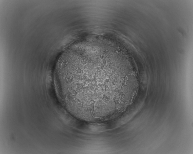 X0000114120707200910191723