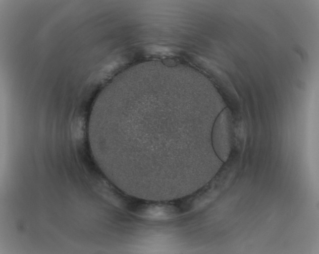 X0000114120708200910191723