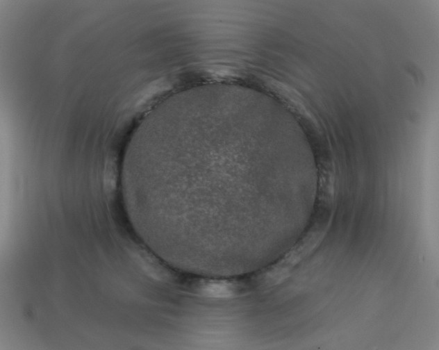 X0000114120710200910191723