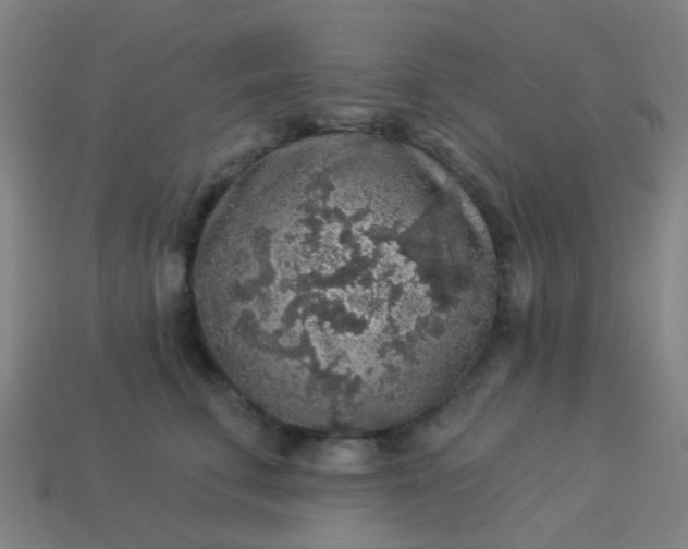 X0000114120711200910191723