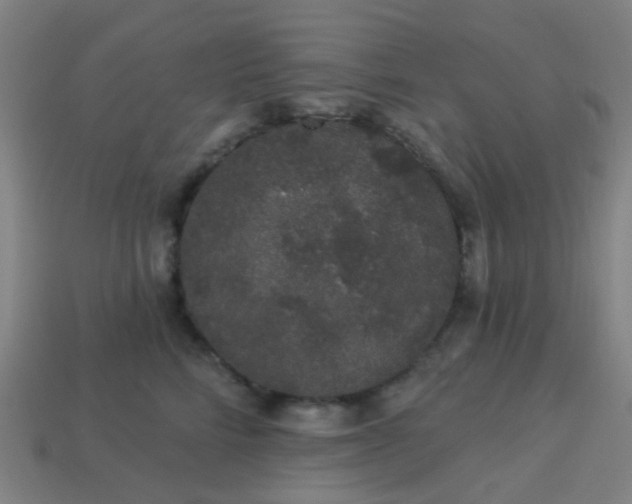 X0000114120712200910191723