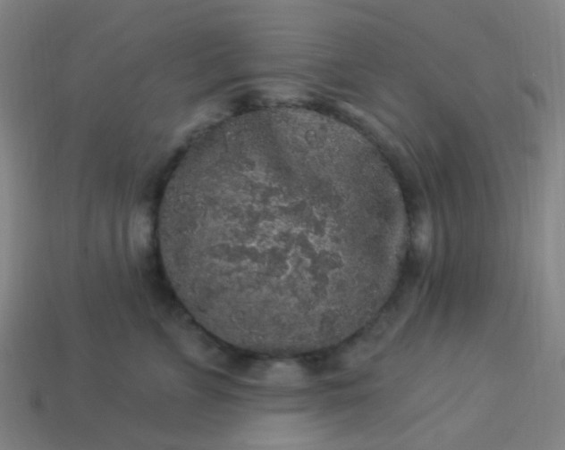 X0000114120715200910191723