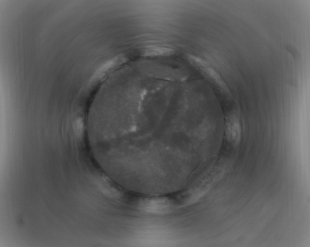 X0000114120716200910191723